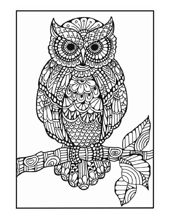 Owl Mandala Line Art