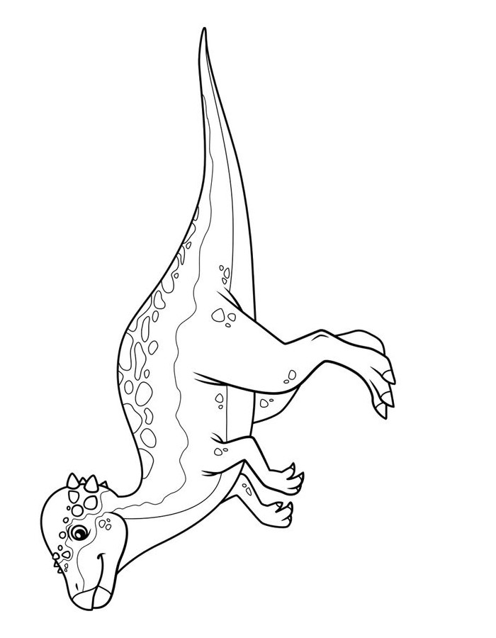 Pachycephalosaurus Coloring Page