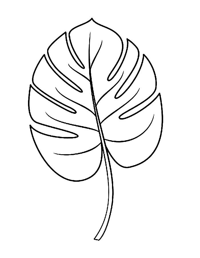 Palm Leaf Coloring Page