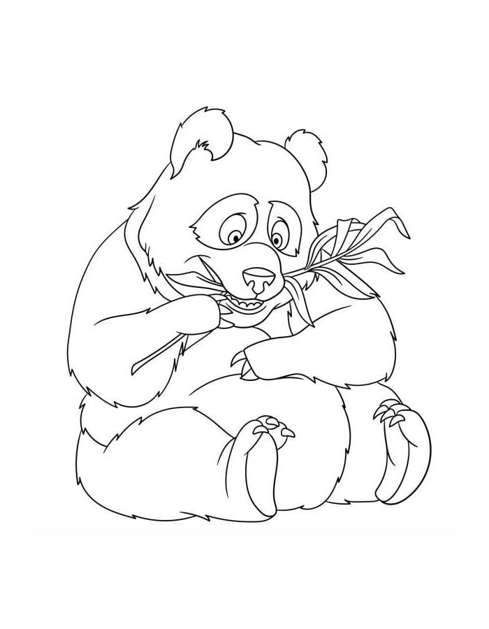 Panda Free Outline Drawing Coloring Page