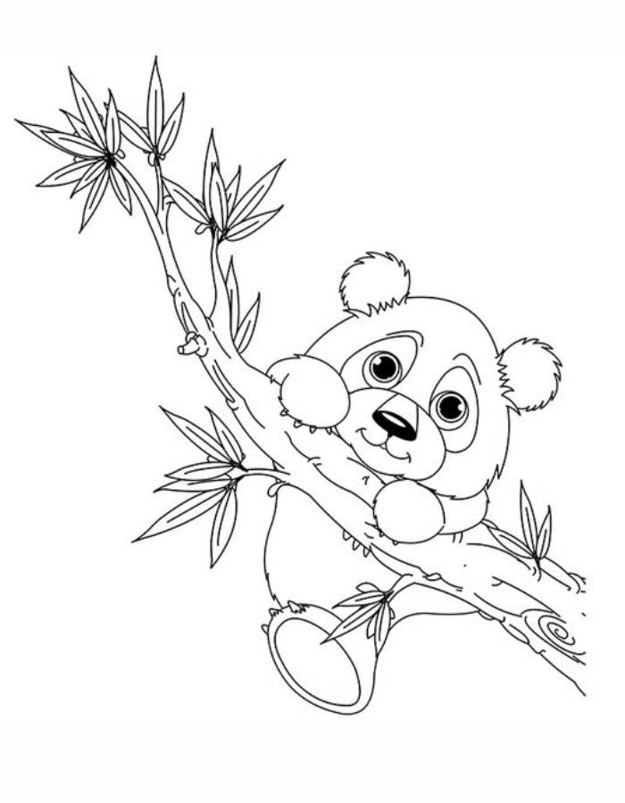 Panda Images Drawing Coloring Page