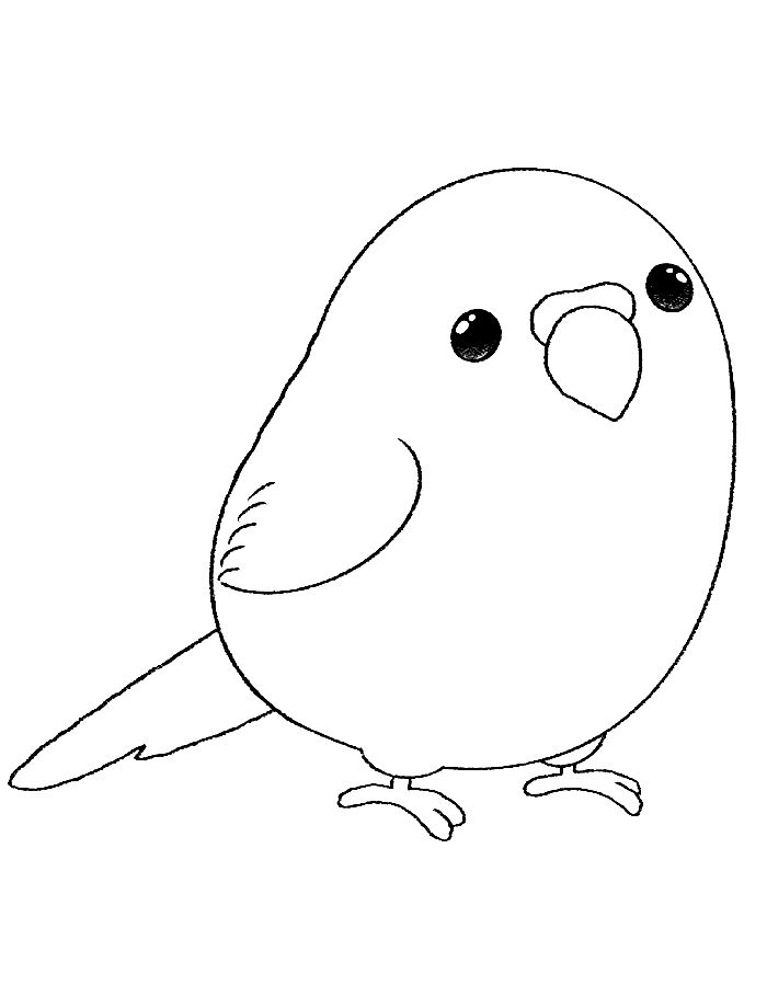 Parakeet To Print Coloring Page