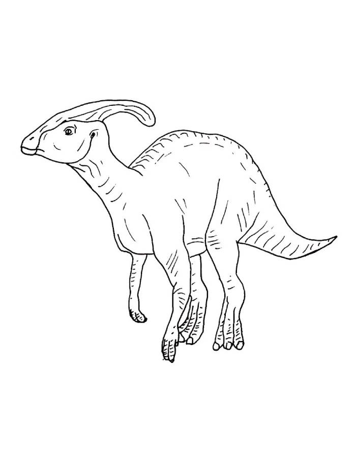 Parasaurolophus