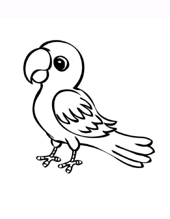 Parrot Cartoon Coloring Page