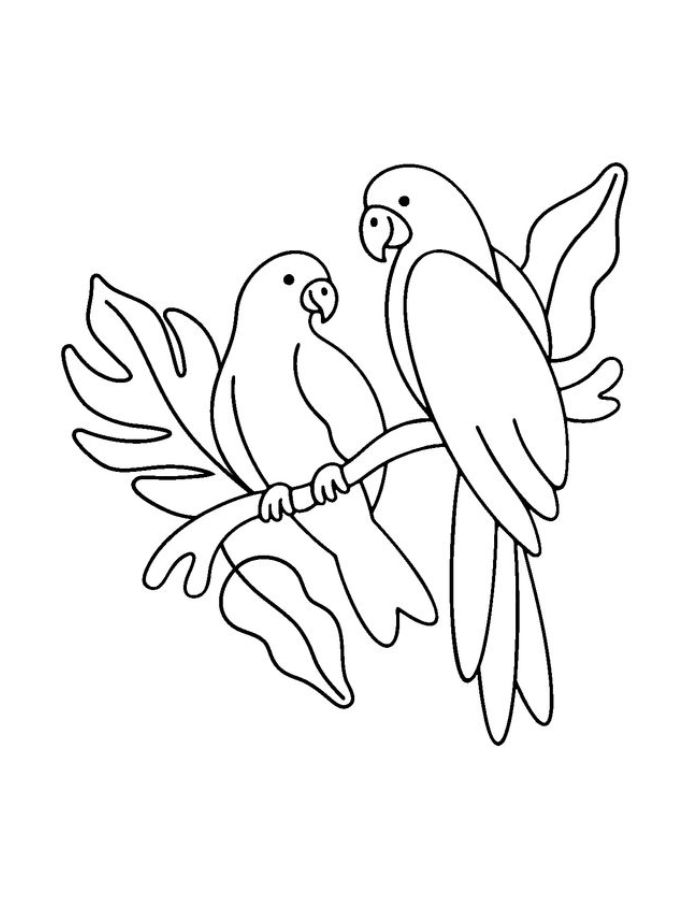 Parrot Couple Coloring Page