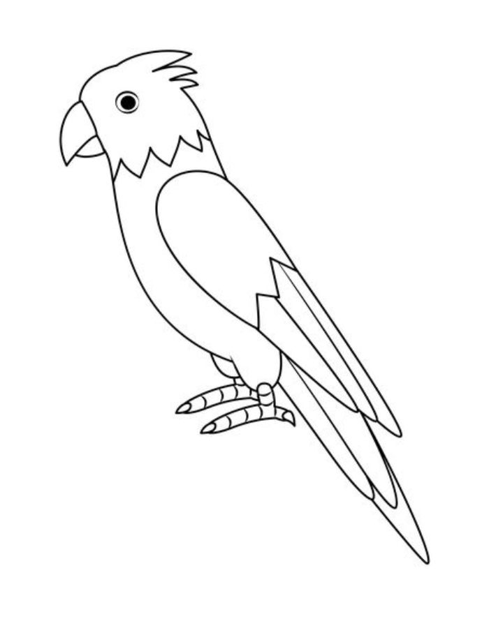 Parrot Images Coloring Page