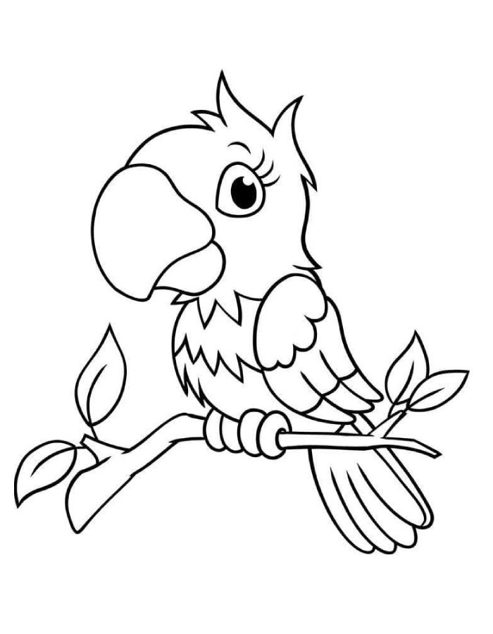 Parrot On Branch Coloring Page