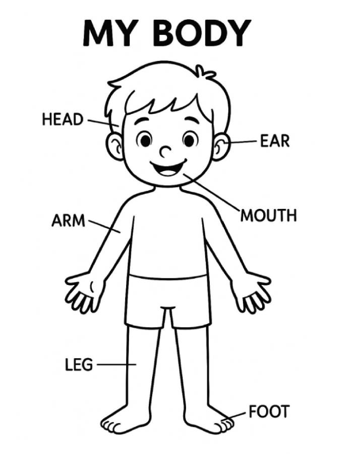 Parts Of The Body Coloring Page