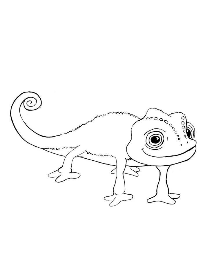 Pascal Chameleon Coloring Page