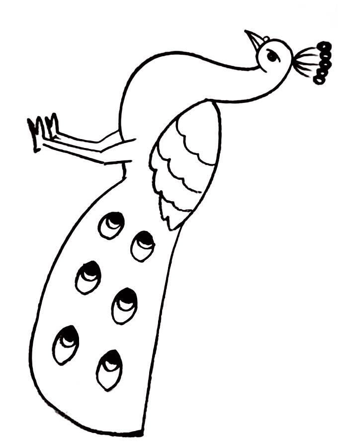 Peacock Drawing Easy Coloring Page