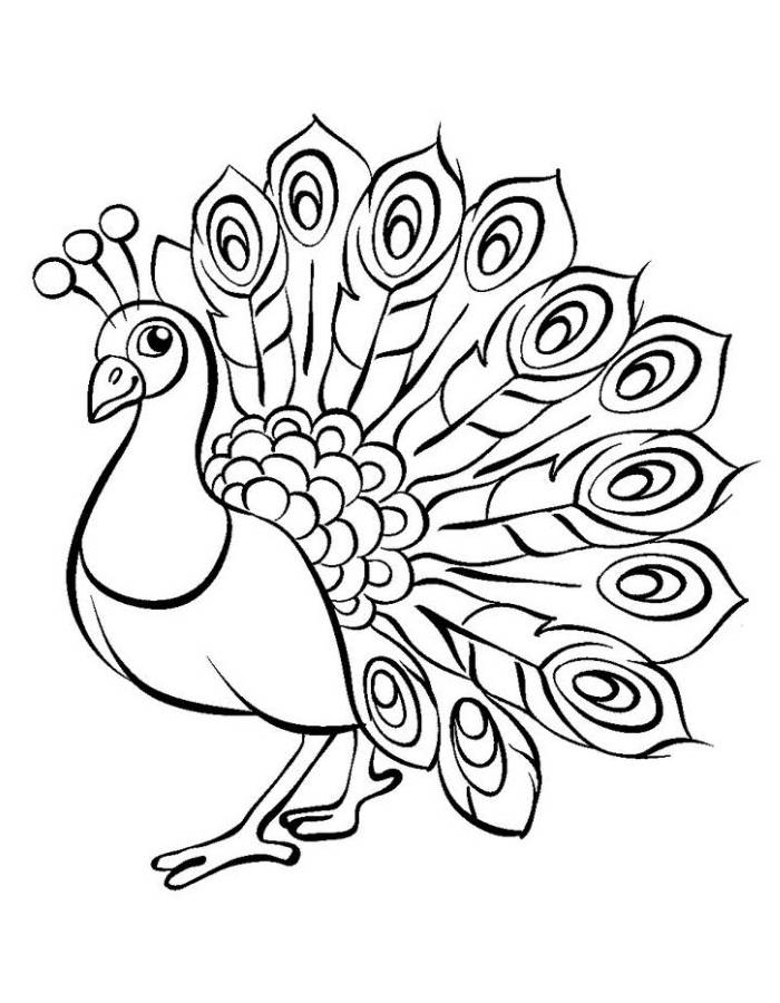 Peacock Line Art Coloring Page