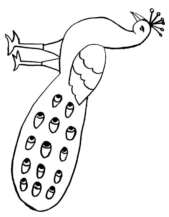 Peacock Pictures Coloring Page