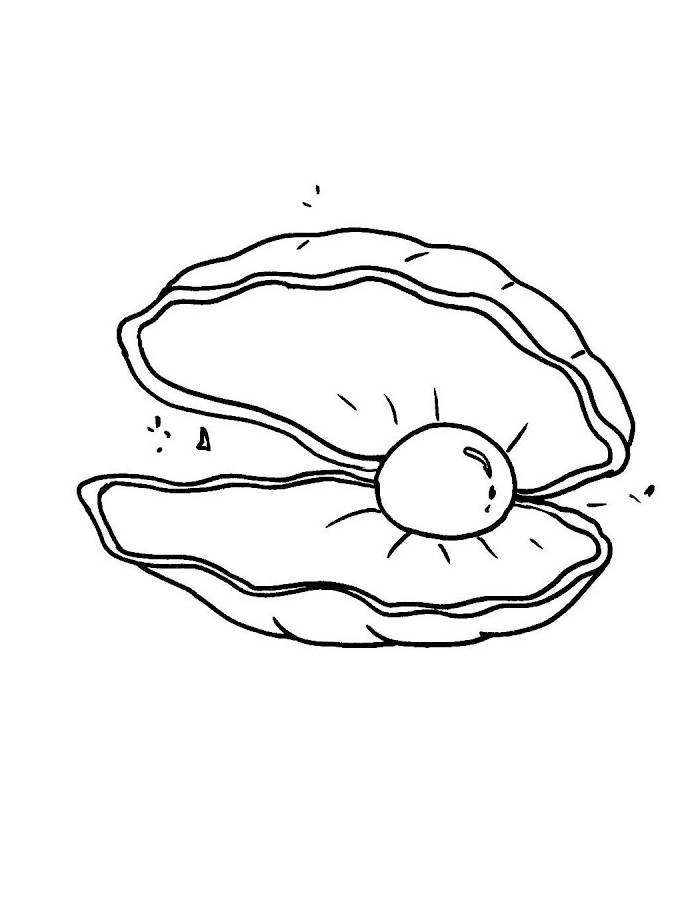 Pearl In Clam Drawing Coloring Page