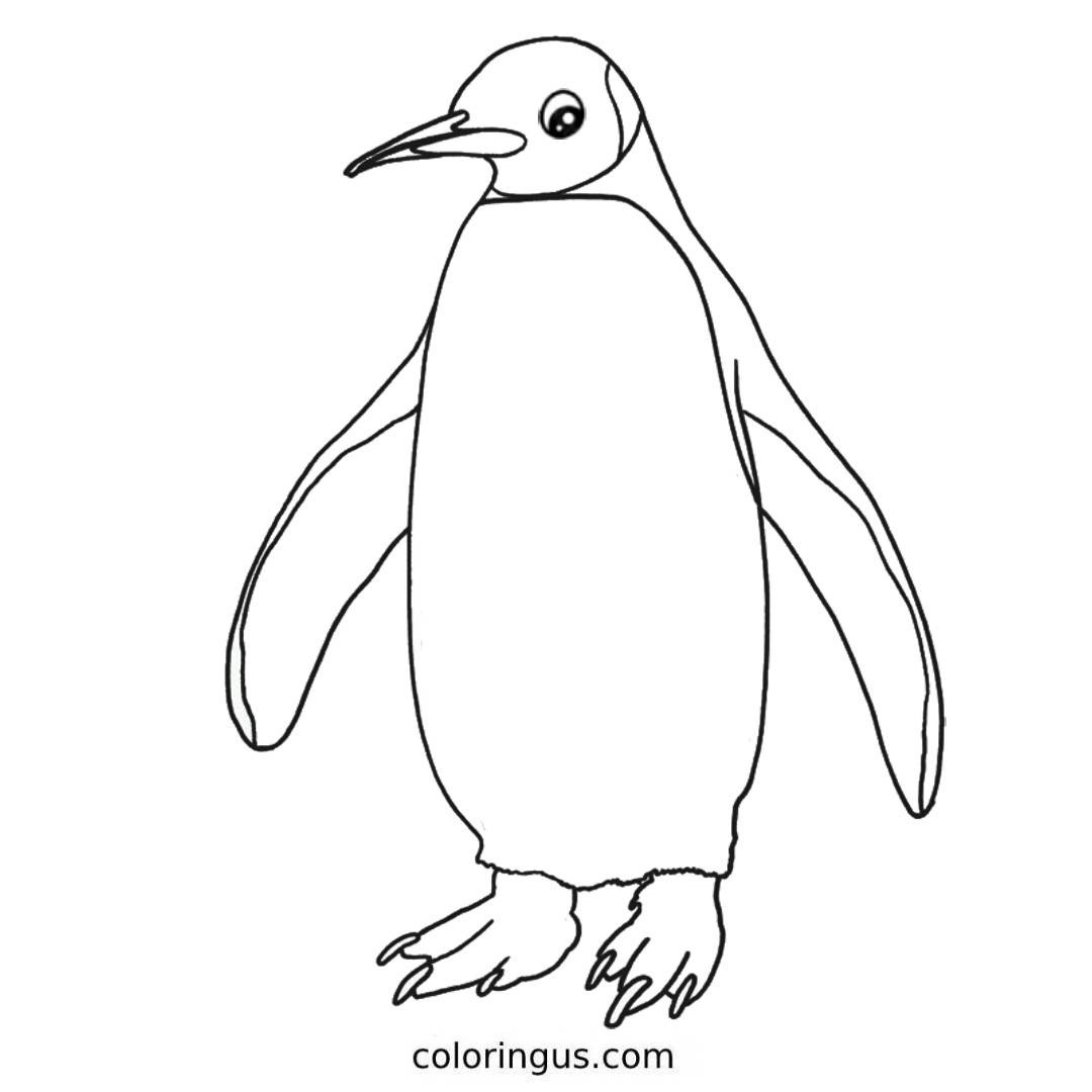 Pets Images Coloring Free Printable PDF 
