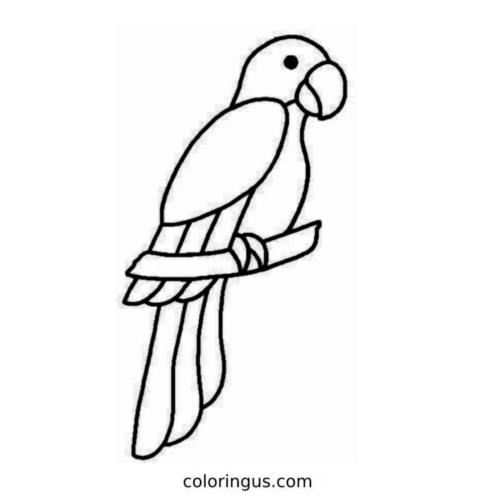 Picture of a parrot to colour