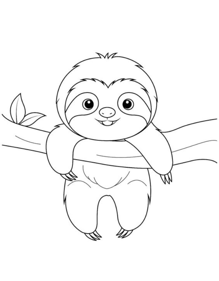 Picture Of A Sloth Coloring Page