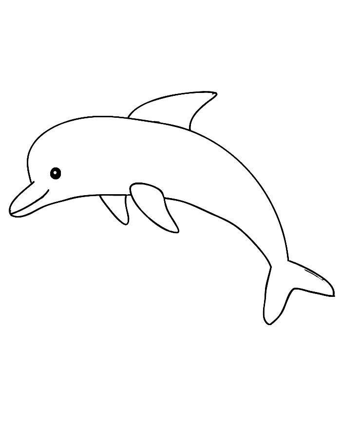 Picture Of Dolphin Coloring Page