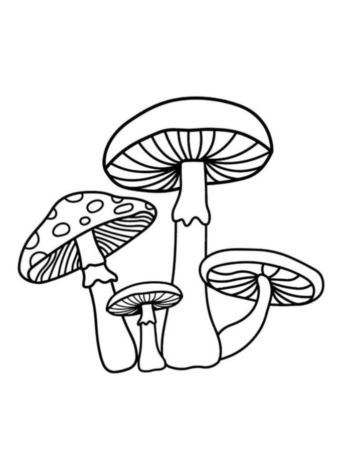 Pictures Mushrooms Coloring Page