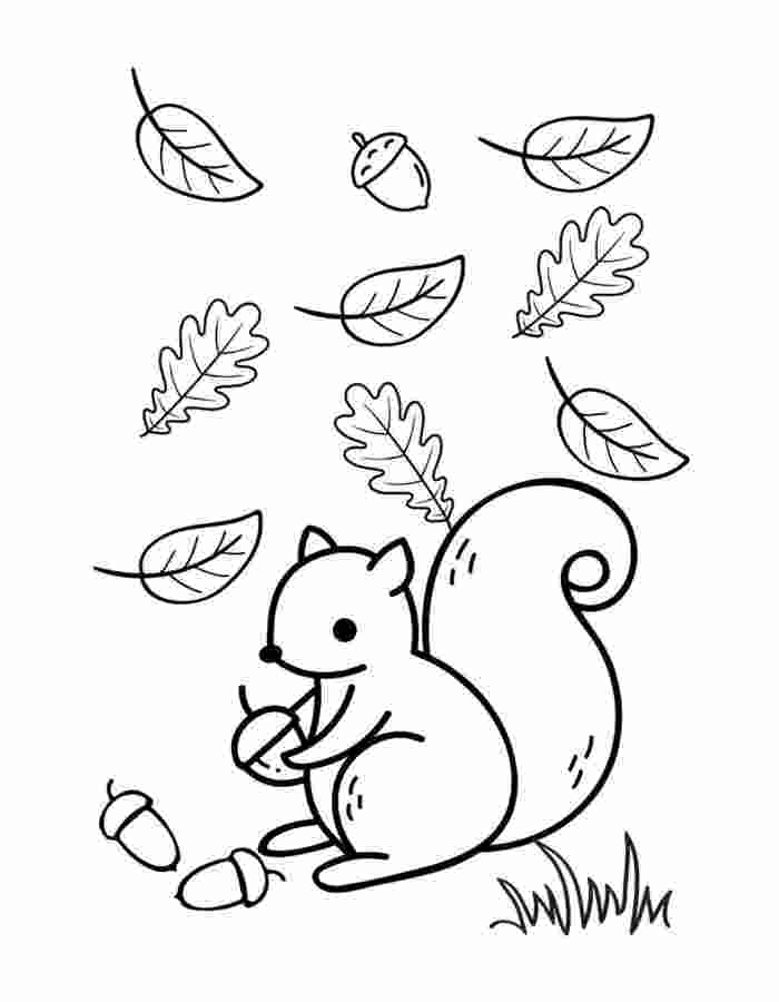 Pictures Of Fall Leaves Coloring Page