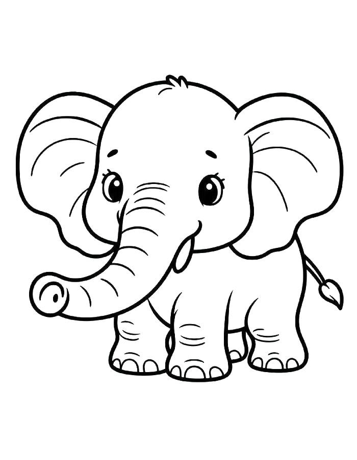 Pictures Of Zoo Animals