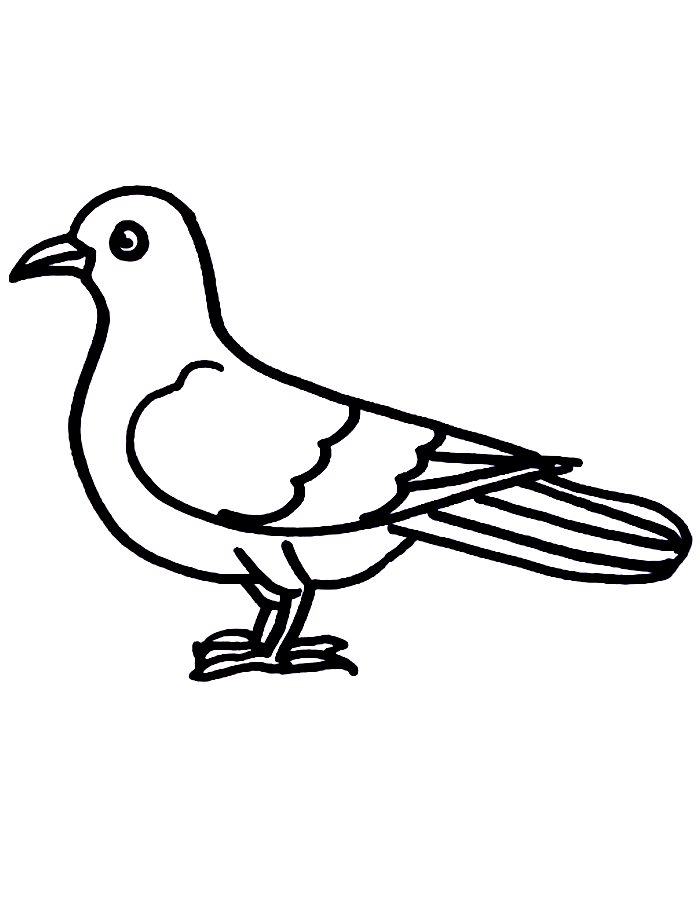 Pigeon Picture Coloring Page