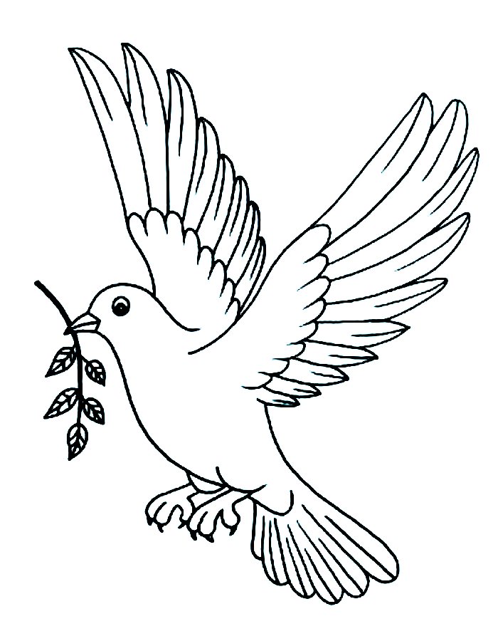 Pigeon Wings Coloring Page