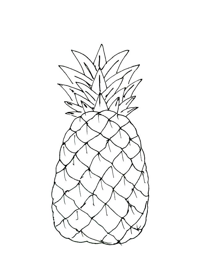 Pineapple Outline Pdf Coloring Page