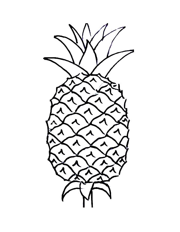 Pineapple Very Easy Coloring Page