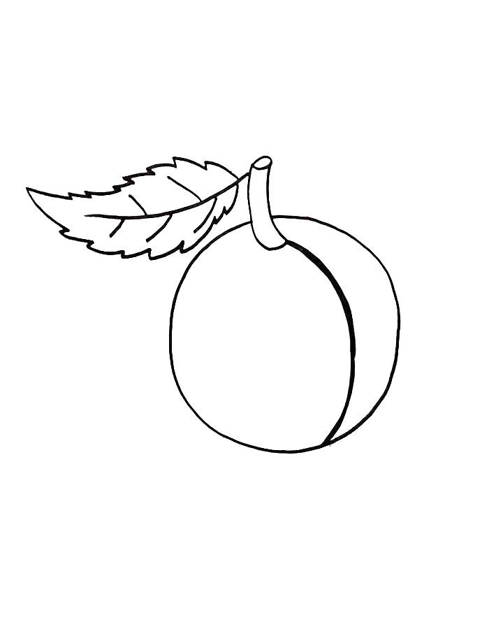 Plum Fruit With Leaf Coloring Page