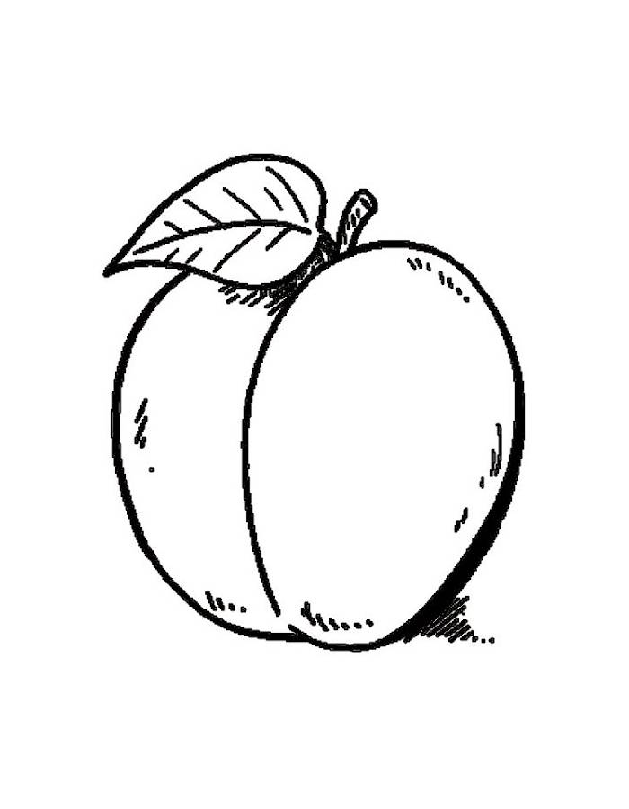 Plums Fruit Drawing Coloring Page