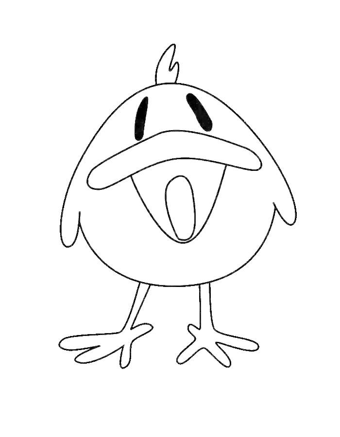 Pocoyo Baby Bird