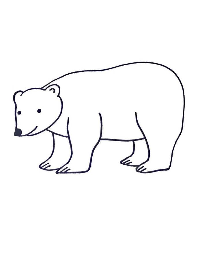 Polar Bear Line Art