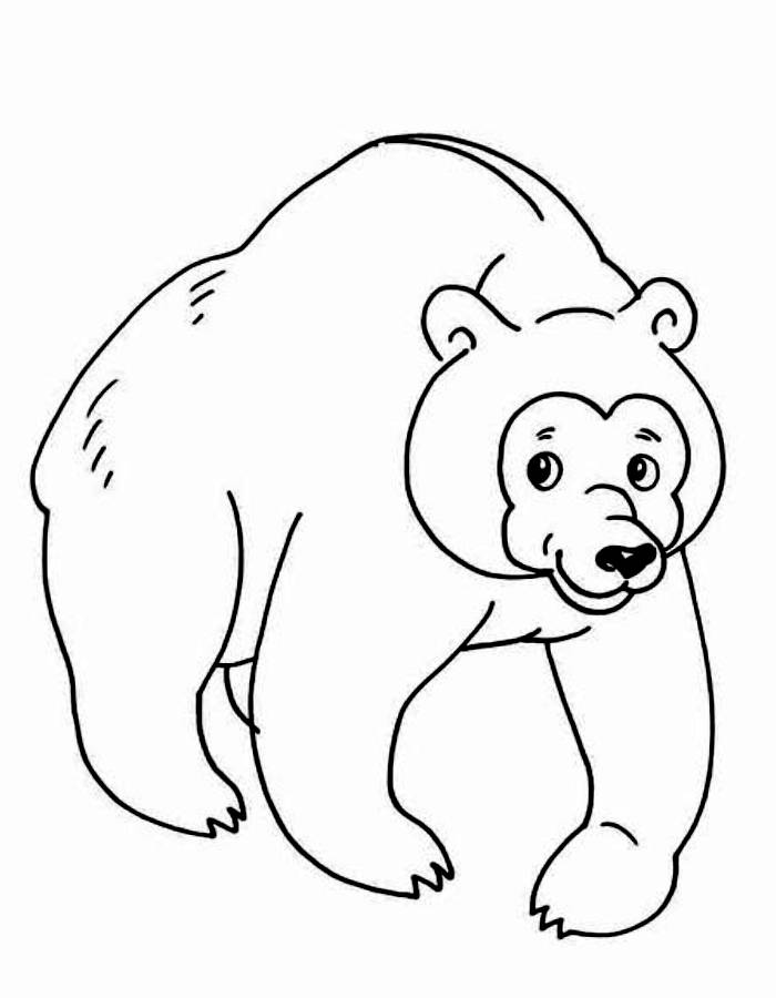 Polar Bear Printable Coloring Page