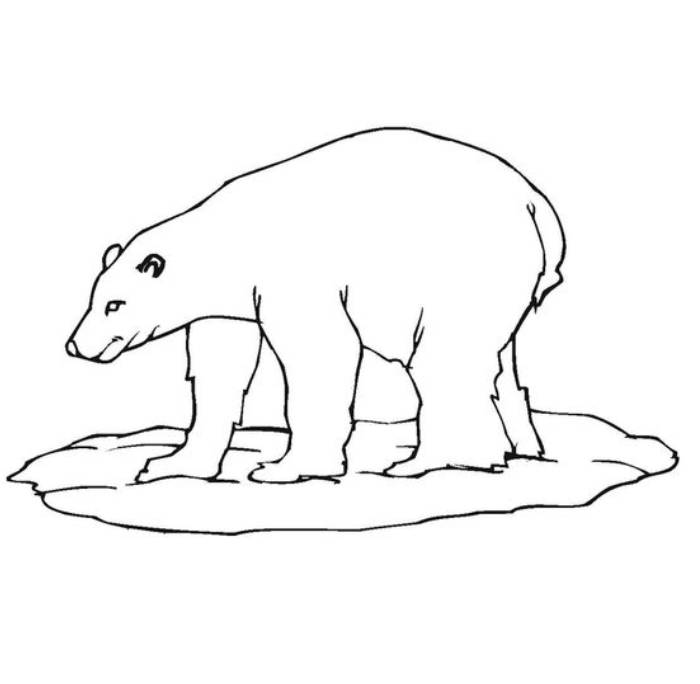 Polar Bear Printable Pictures