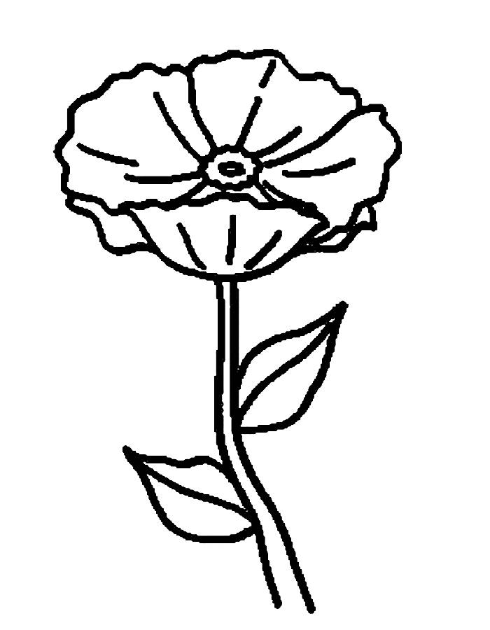 Poppies Flower Outline Coloring Page