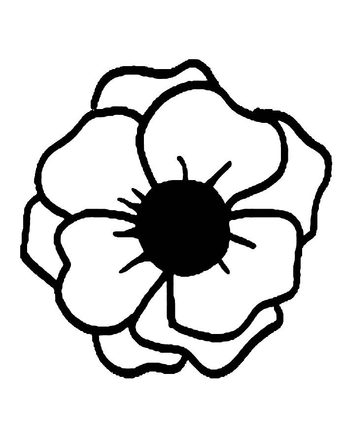 Poppy Flower Line Art Coloring Page