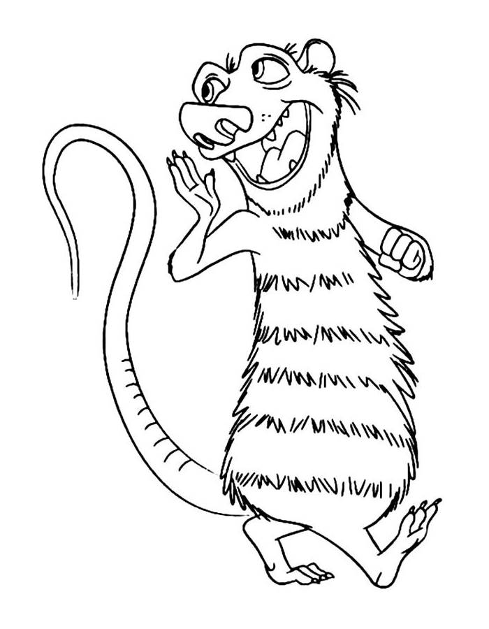 Possum Cartoon From Ice Age Possum Cartoon From Ice Age Coloring Page