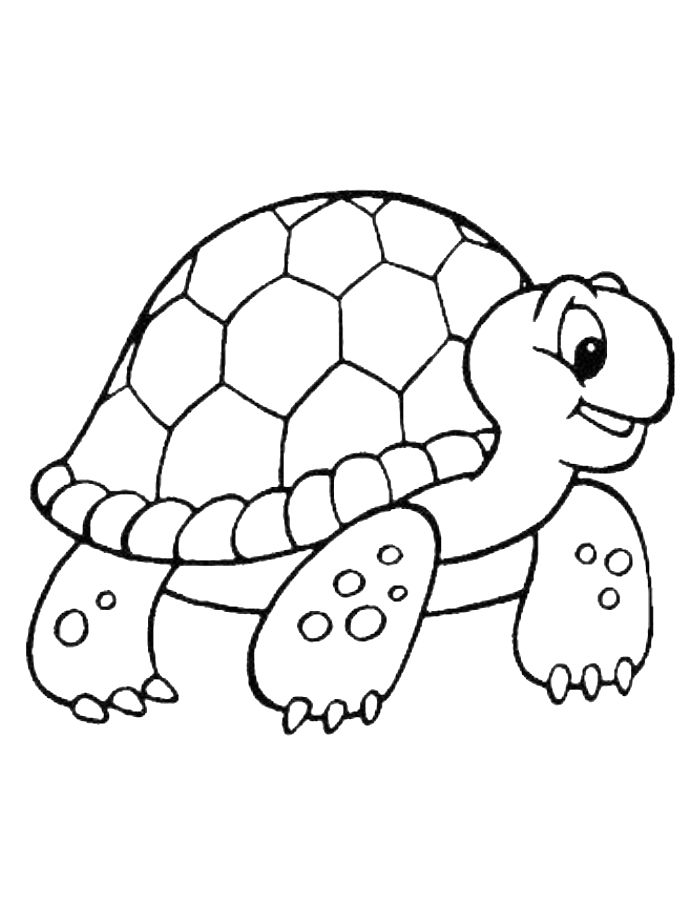 printable coloring pages turtles