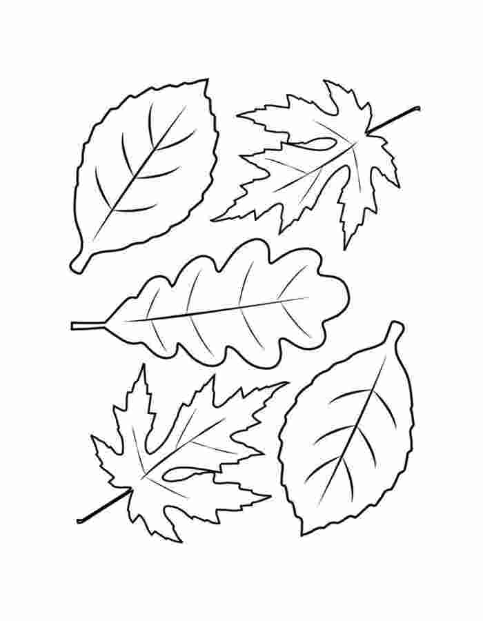 Printable Fall Leaves Coloring Page