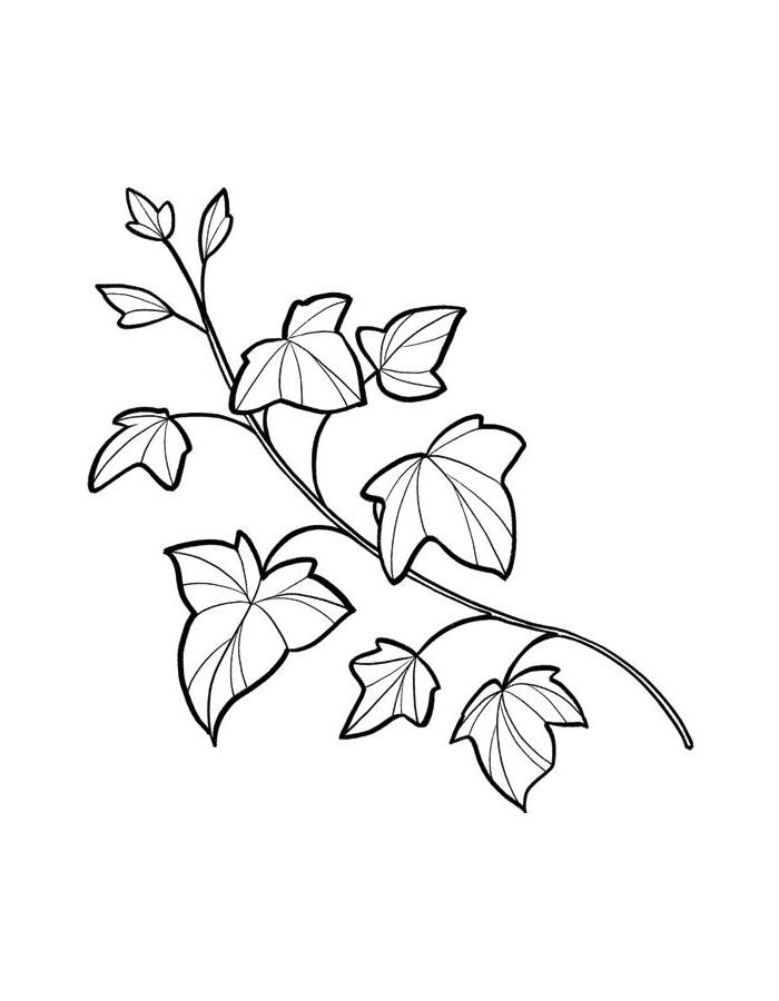 Printable Leaf Picture Coloring Page