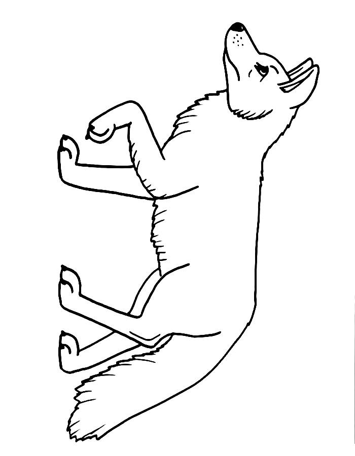 Printable Of Foxes Coloring Page