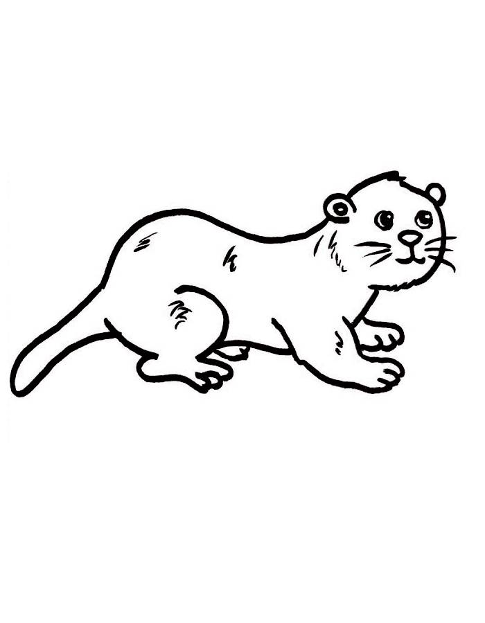 Printable Otter Pictures Coloring Page Free Printable PDF Printable Otter Pictures Coloring Page Free Printable PDF