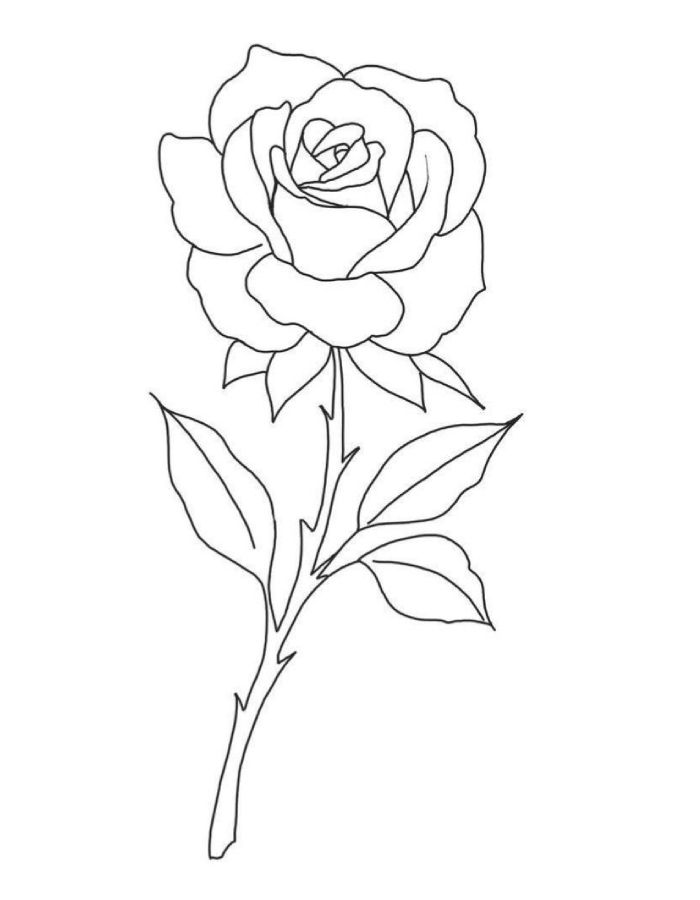 Printable Picture Of A Rose Coloring Page