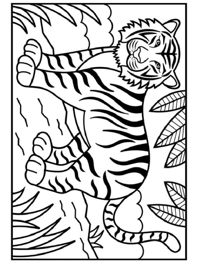 Printable Picture Of A Tiger Coloring Page