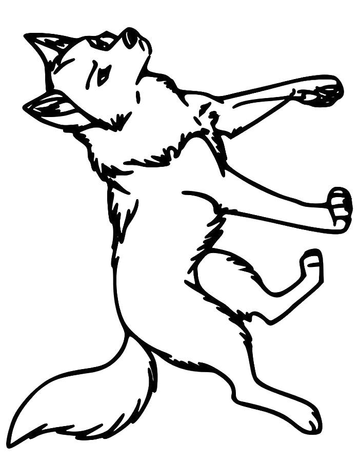 Printable Picture Of A Wolf Coloring Page