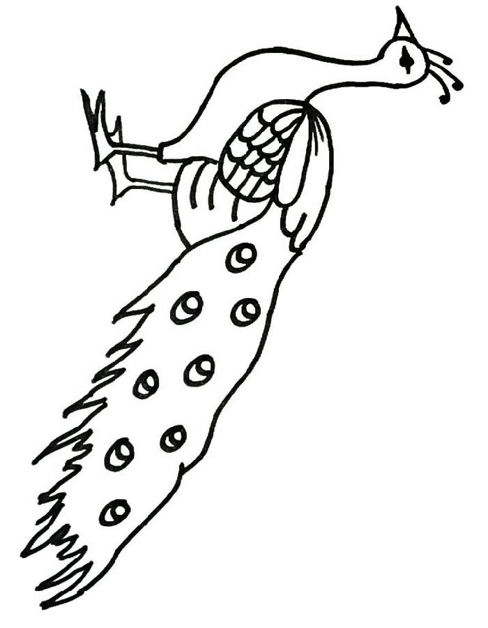 Printable Pictures Of Peacock Birds Coloring Page