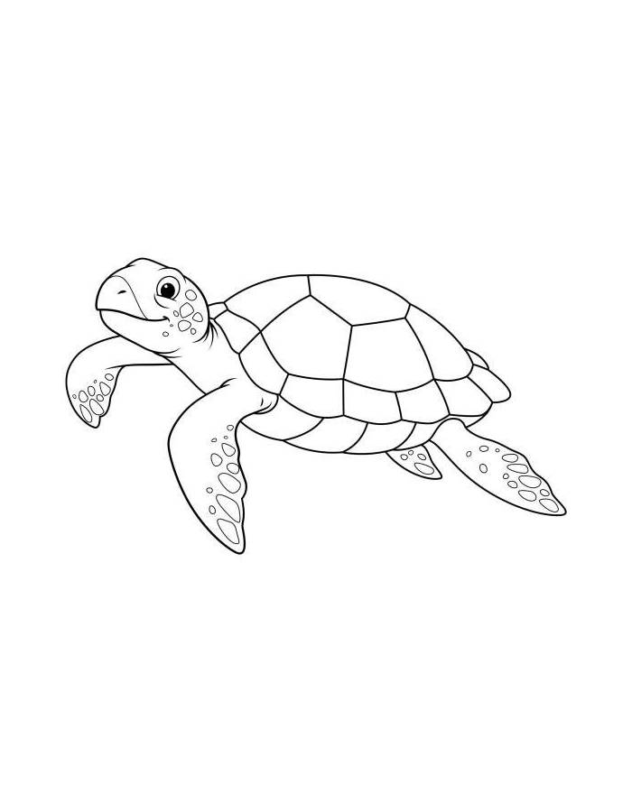 Printable Sea Turtle Pdfs Coloring Page