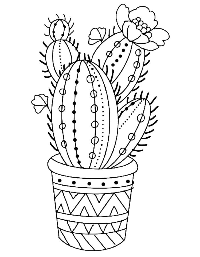 Procreate  coloring page