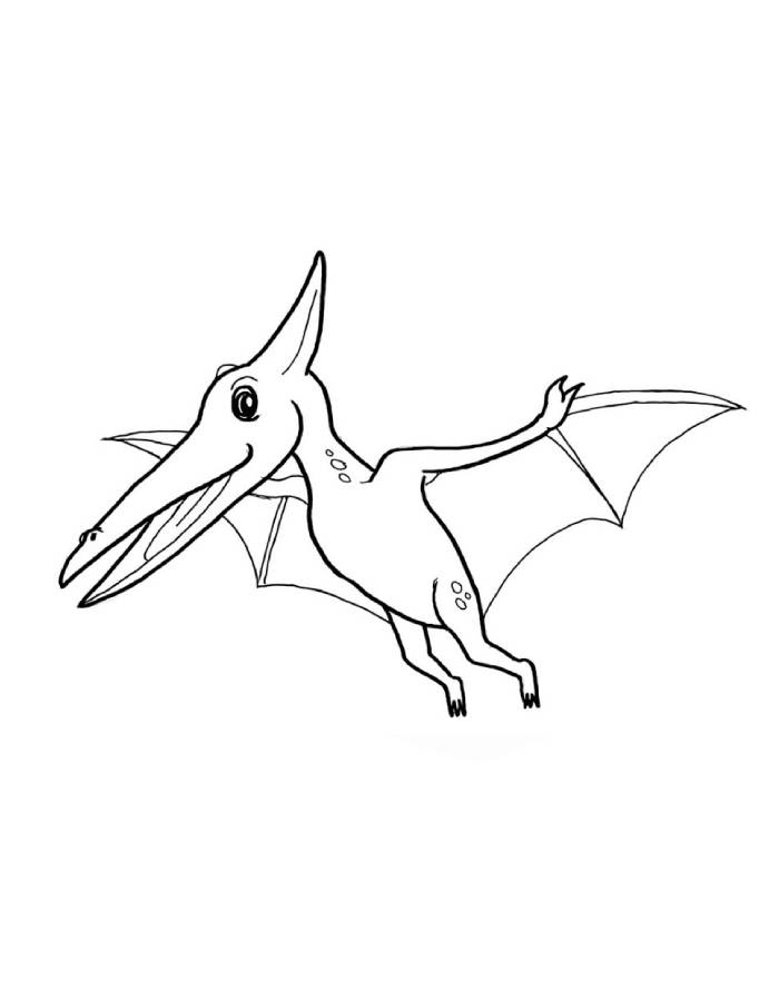 Pteranodon Reptiles Coloring Page