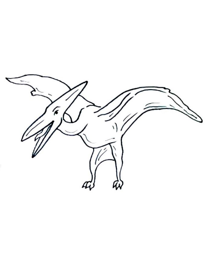 Pterodactyl Line Art Coloring Page